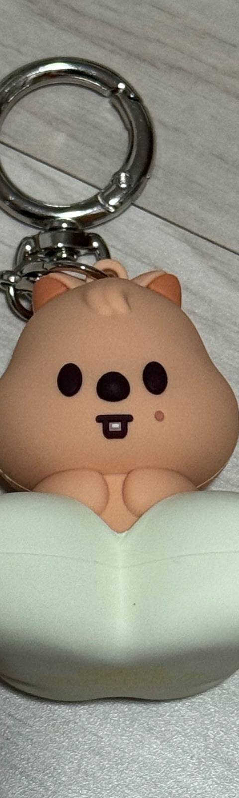 굿즈 사진