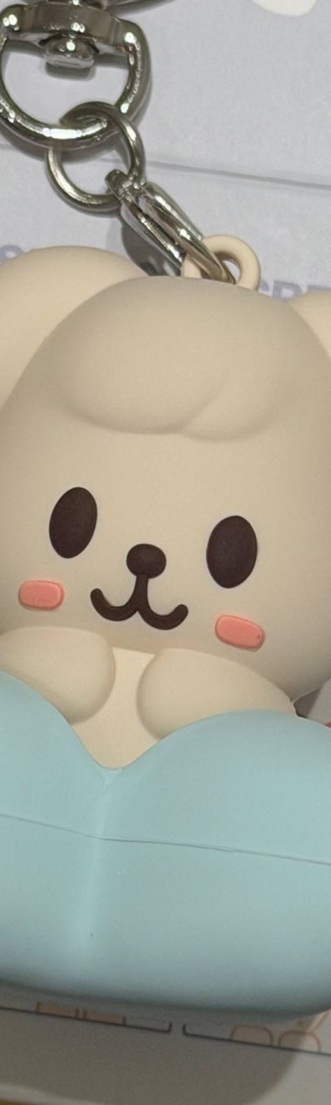 굿즈 사진