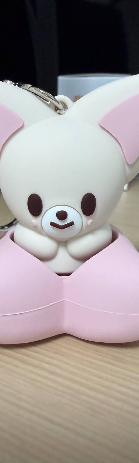 굿즈 사진