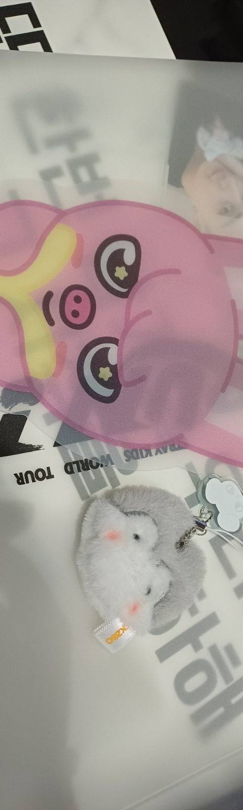 굿즈 사진