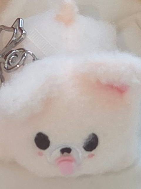 굿즈 사진