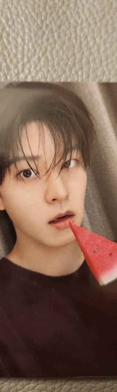 굿즈 사진