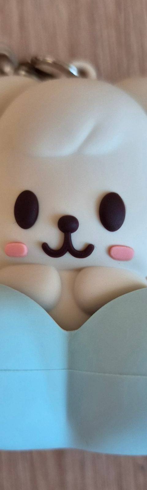 굿즈 사진