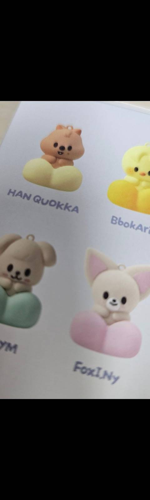 굿즈 사진