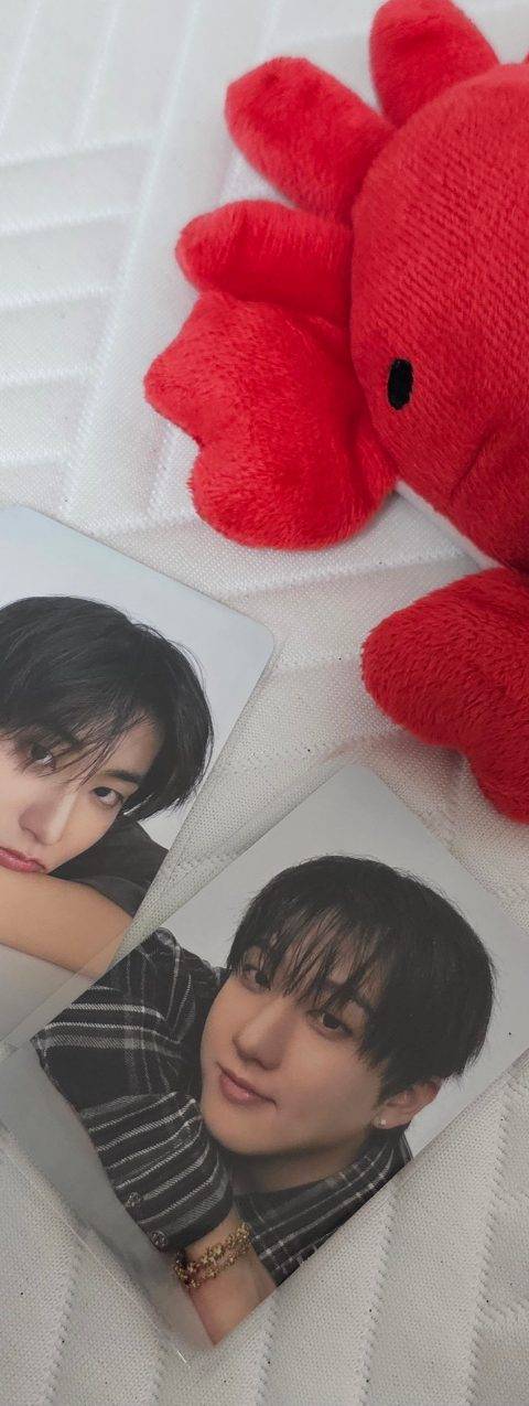 굿즈 사진